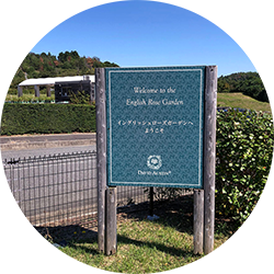 イギリスの名門デビッド オースチンのイングリッシュローズガーデン 大阪府泉南市花咲ファーム に行ってきました 理系文系夫婦のhome Sweet Smart House